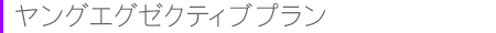 お見合いプラン/ヤングエグゼクティブプラン